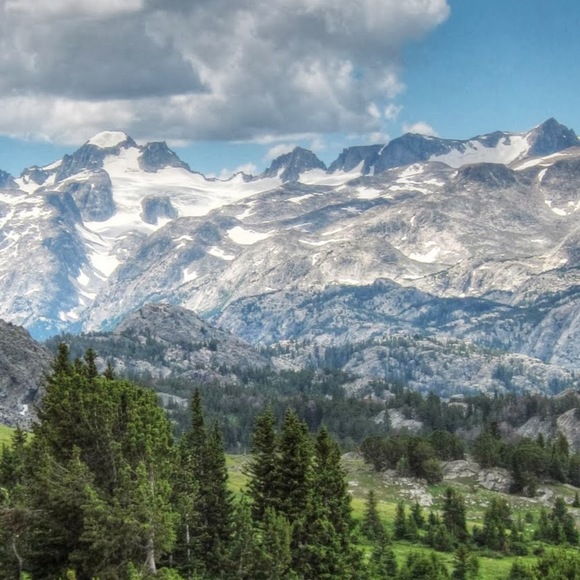 Meet your Posher, Garrett - Picture 1 of 1